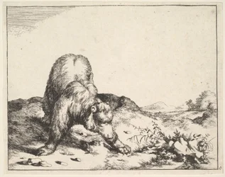 From The Set of The Bears, ca. 1664