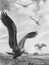 Vultures Carrying Off the Limbs of the Slain