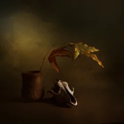 Dark Autumn Still Life