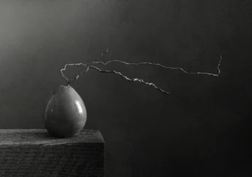 Monochrome Pear and Branch
