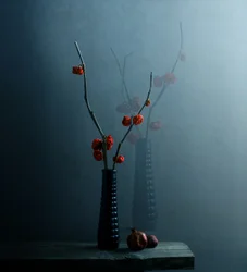 Moody Botanical Still Life