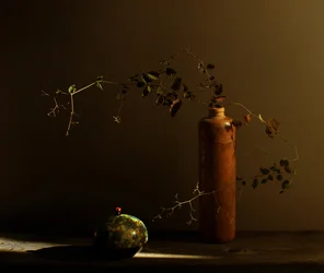 Rustic Still Life with Ladybug