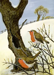 A Pair of Robins