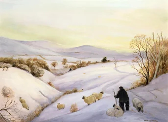 Sheep on the Ridge