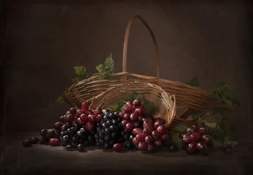 Abundant Vineyard Grapes