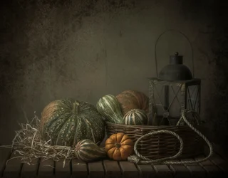 Autumn Still Life Pumpkins