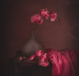 Dark Orchid Still Life