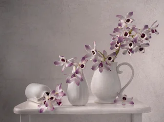 Delicate Orchid Still Life