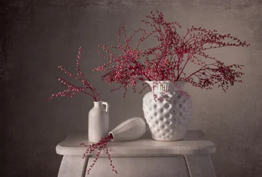 Elegant Berry Still Life