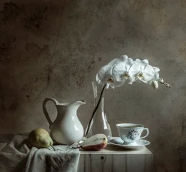 Elegant Orchid Still Life