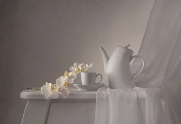 Elegant Orchid Teatime