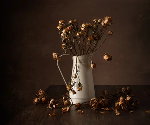Moody Dried Roses Still Life