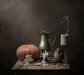 Pumpkin Owl Still Life