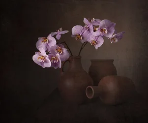 Purple Orchid Still Life