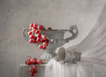Red Grapes Still Life