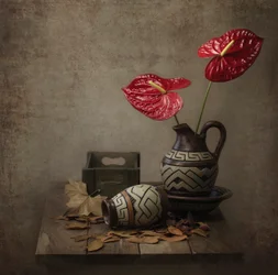Rustic Anthurium Still Life