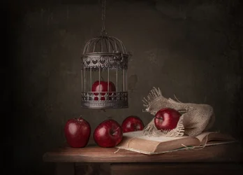 Rustic Apples And Book