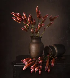 Rustic Floral Still Life
