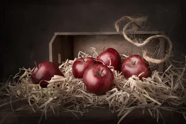 Rustic Harvest Apples