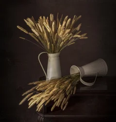 Rustic Plumes and Pitchers