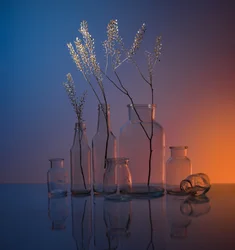 Serene Glass Still Life