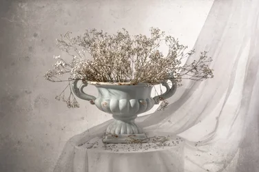 Shabby Chic Floral Still Life