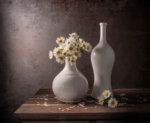 White Daisies Still Life