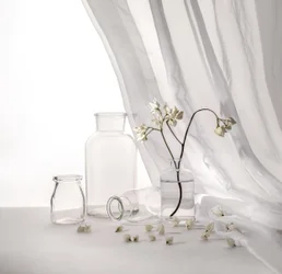 White Floral Still Life