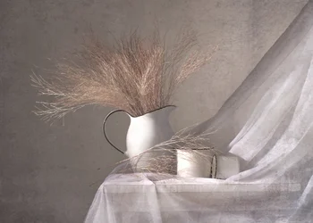 White Pitcher Dried Grass