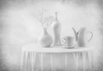 White Still Life Elegance