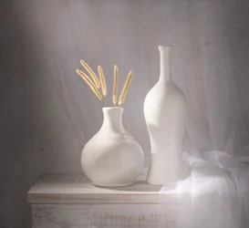White Vases Soft Light