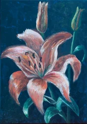 Orange Lily