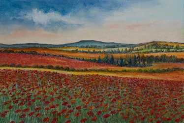 Poppy fields..Flanders