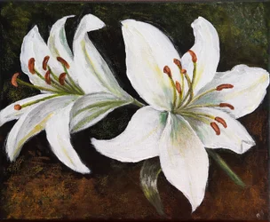 White Lily, 2022