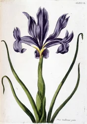 Unknown Image
