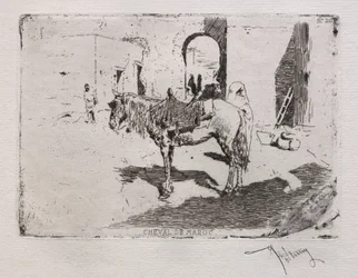 Horse of Morocco
