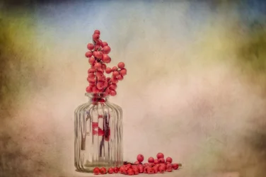 Rustic Berry Still Life