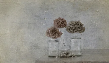 Rustic Dried Flower Still Life