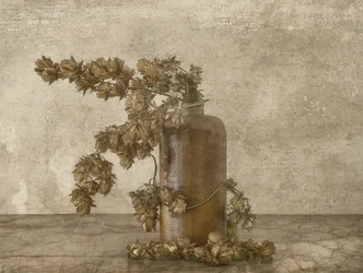 Rustic Hops Still Life