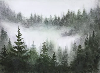 Misty Forest Serenity