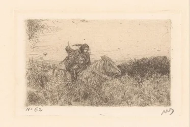 Rider