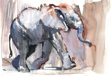 Baby elephant, 2012