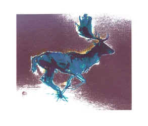 Fallow Buck (blue-yellow shadow), 2015