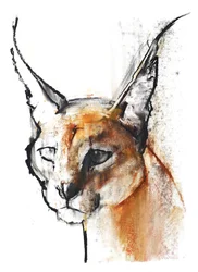 Feline (Arabian Caracal), 2009