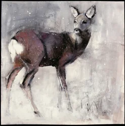 Roe Doe, 2000