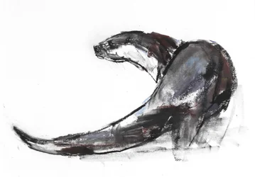 Rudder