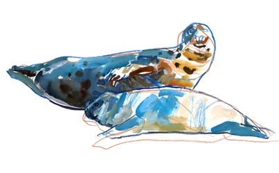 Seal Mother, 2022