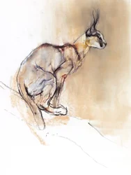 Seated Caracal, 2009