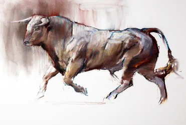 The White Bull