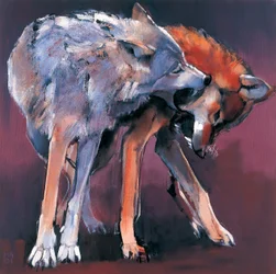 Two Wolves, 2001